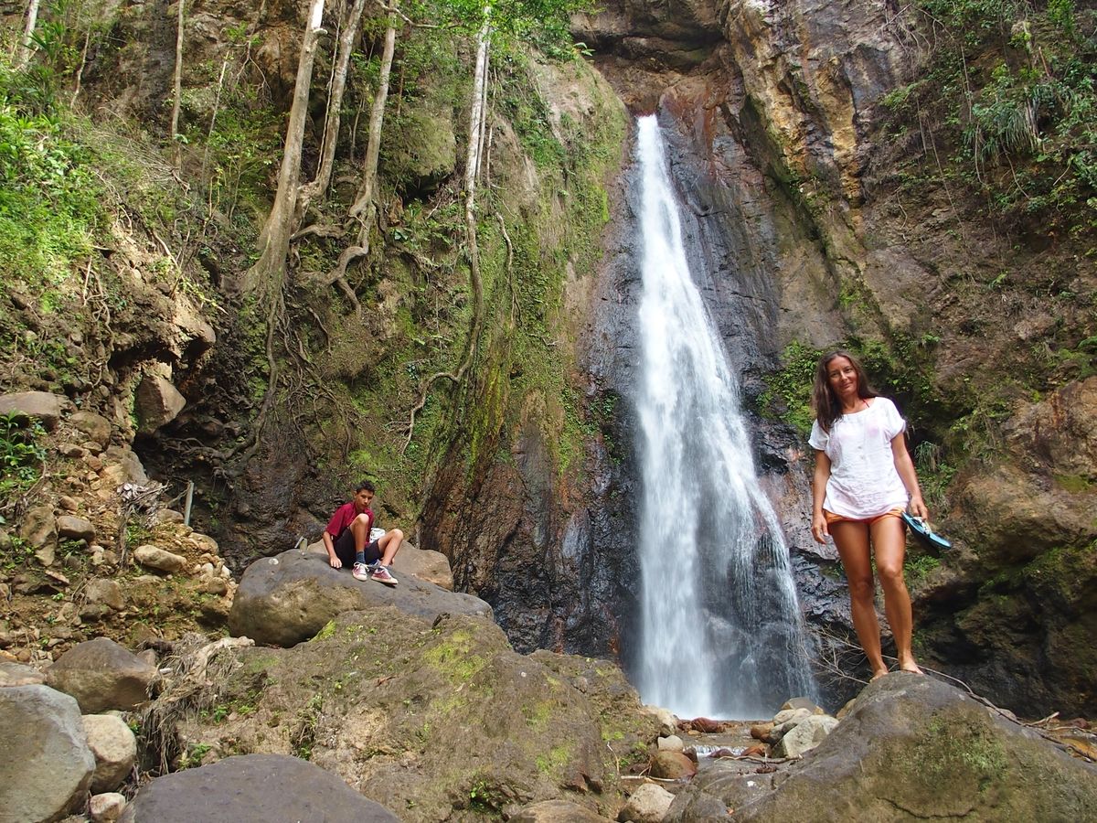 Syndicate falls
